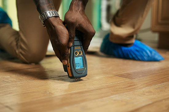 mold inspection